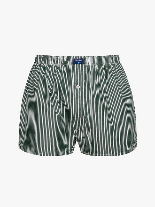 Boxers Classicos Mr. Blue