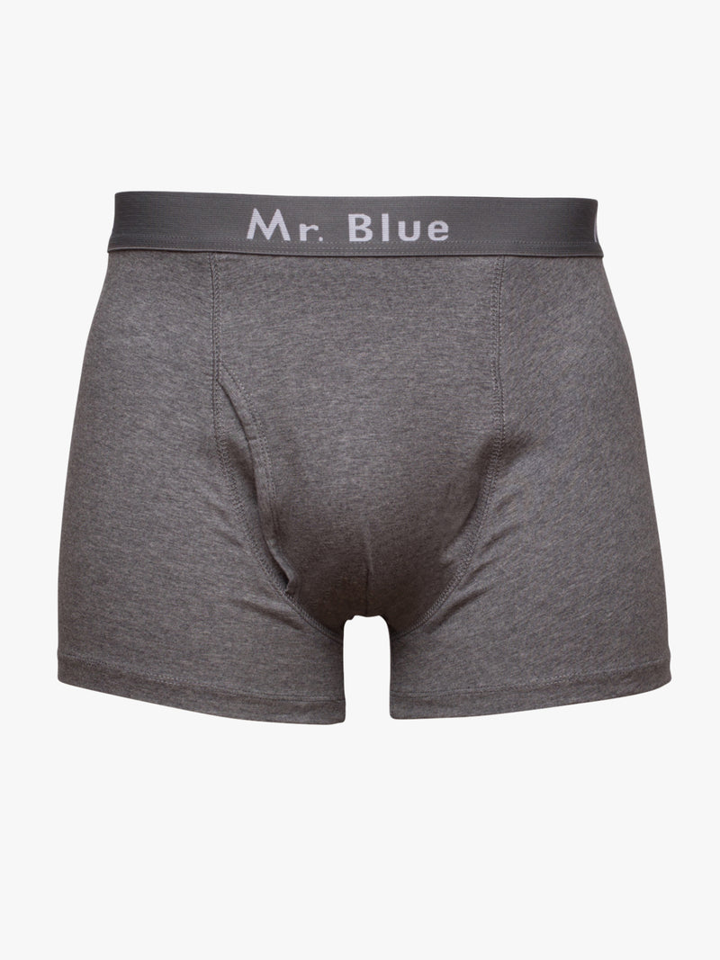 Boxers Justos Bamboo Mr. Blue