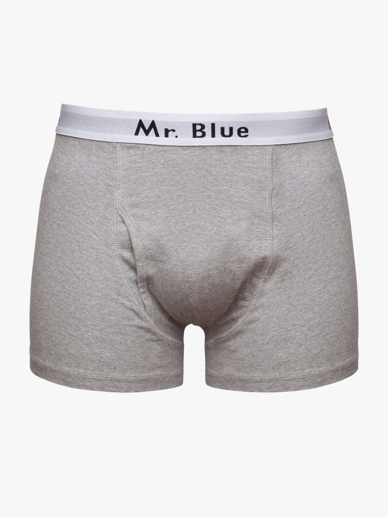 Boxers Justos Bamboo Mr. Blue