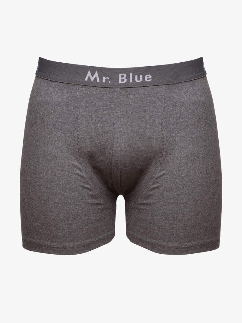 Boxers Justos Mr. Blue