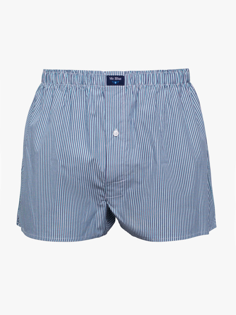 Classic blue and white striped boxers