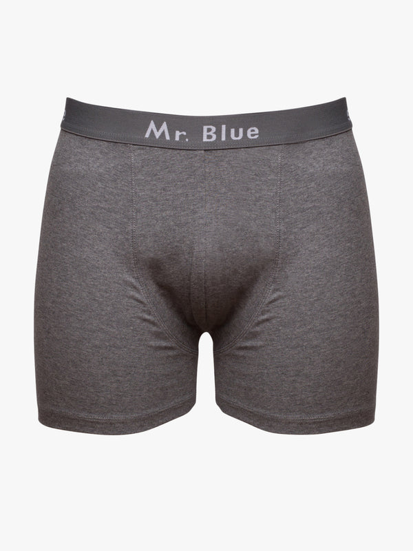 Gray righteous boxers