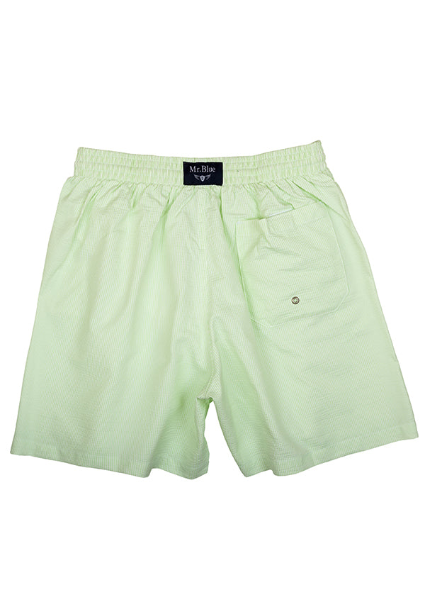 Light Green Swimming Shorts