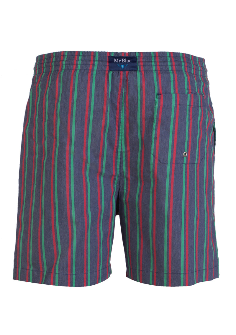 Red green blue swim shorts
